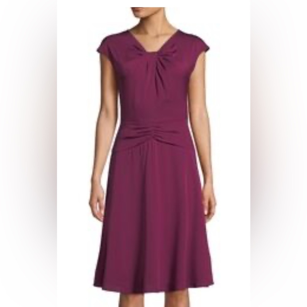 Milly Elegant Purple Women's Dress
